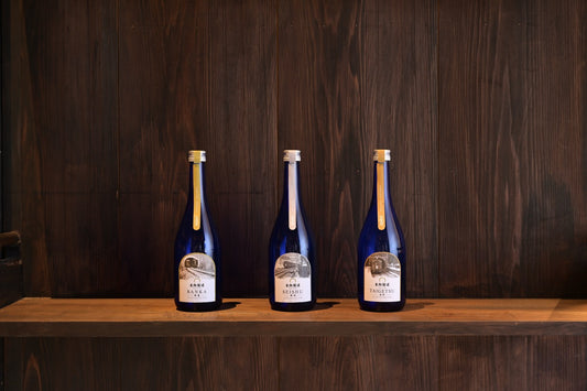 生駒隧道 月の旅人―Tabito― 【晩夏】